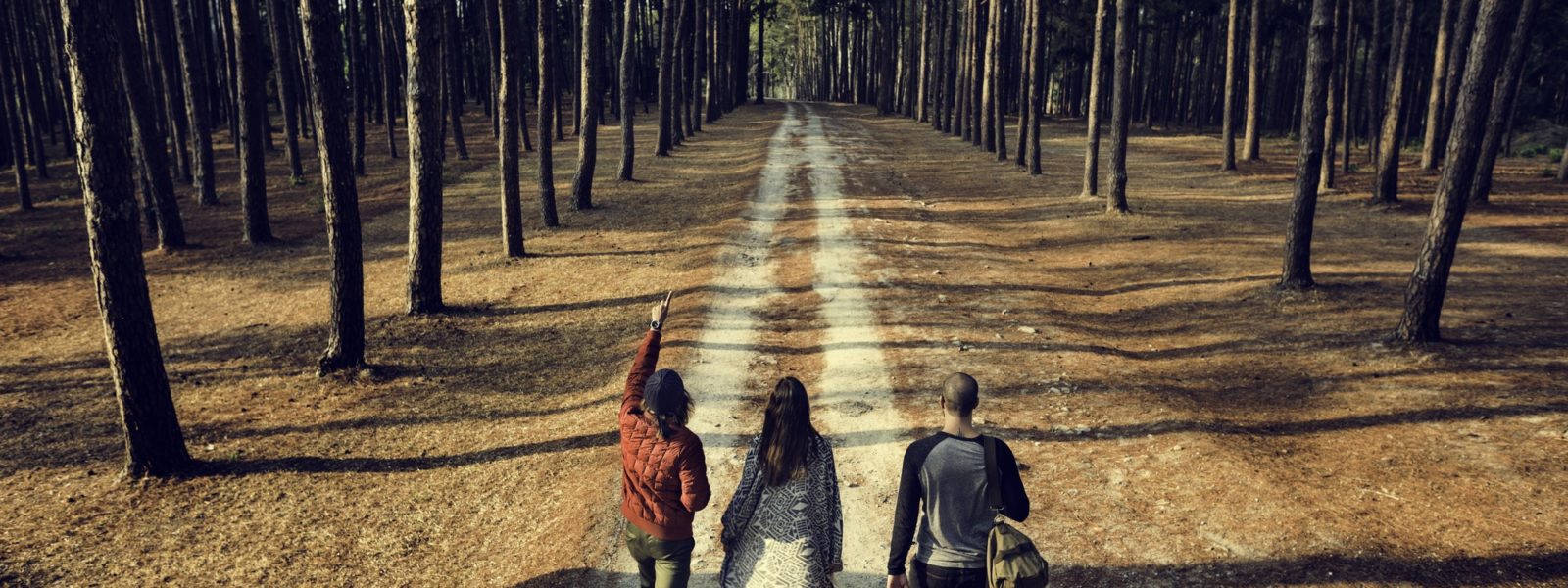 Friends Walking Exploring Outdoors Concept Friends Walking Exploring Outdoors Concept