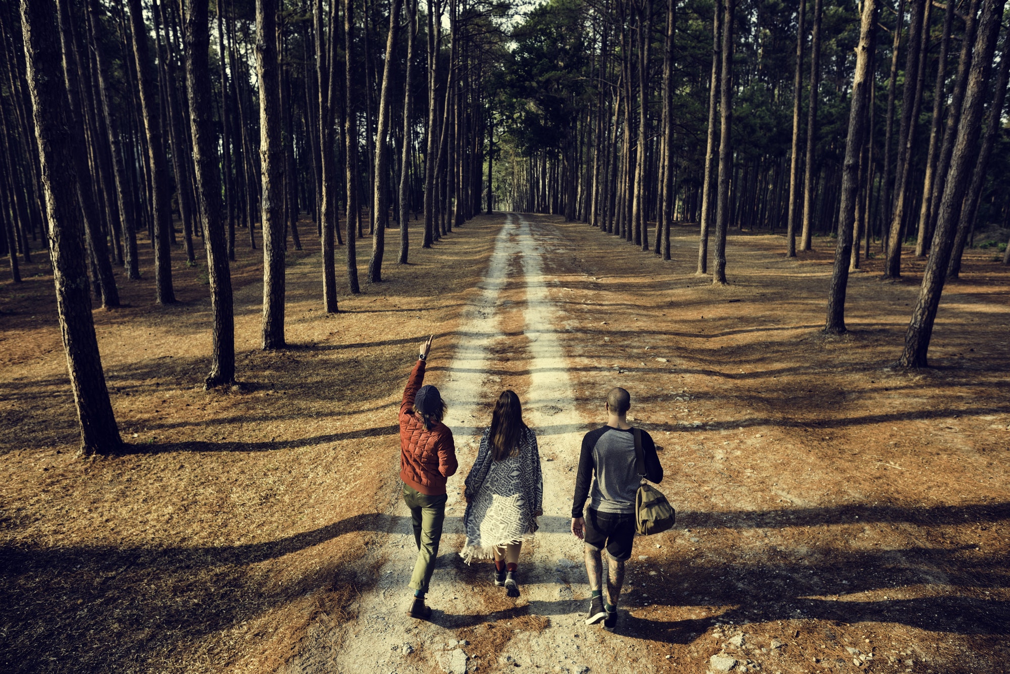 Friends Walking Exploring Outdoors Concept